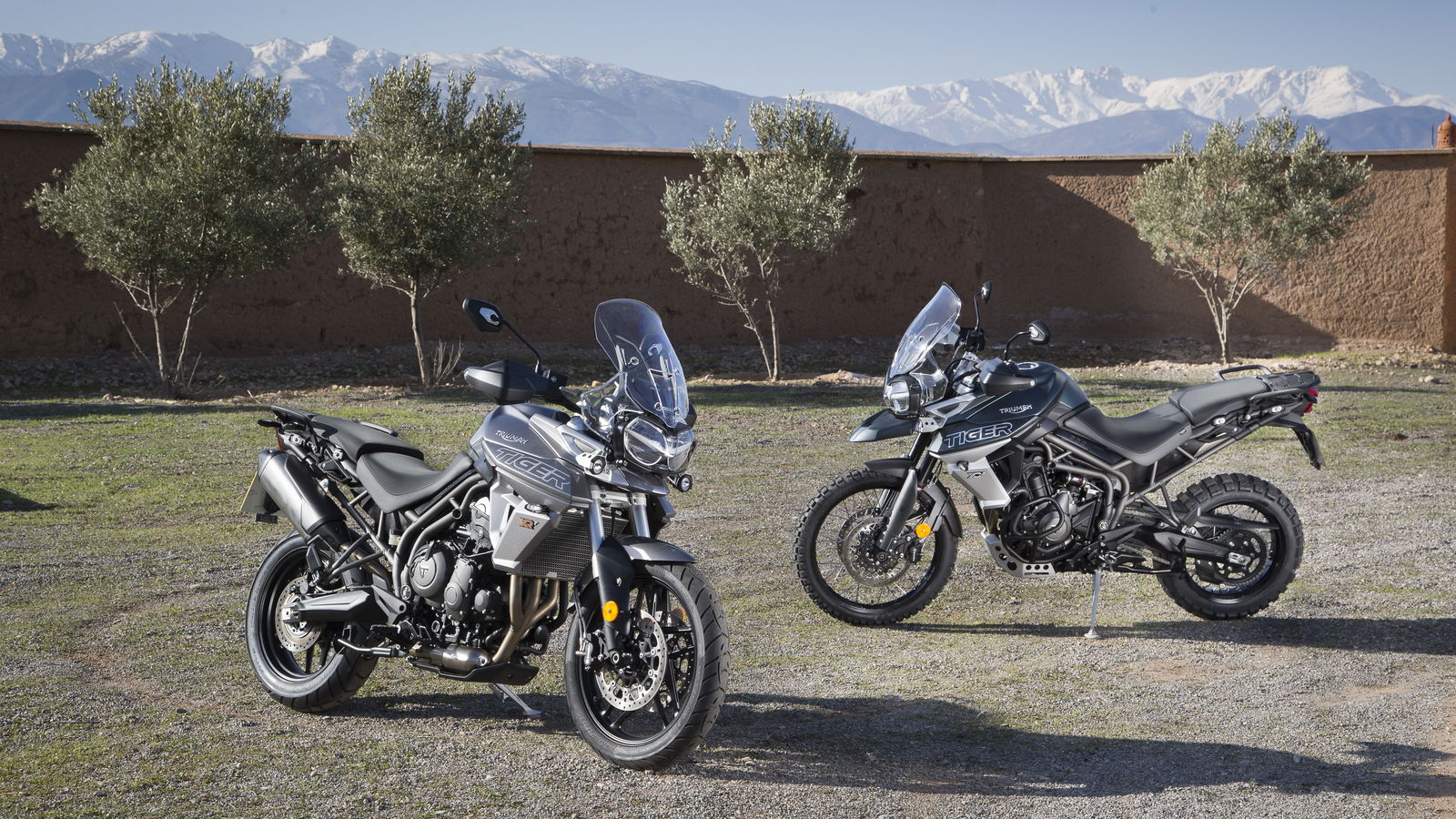 Triumph Tiger 800 video review